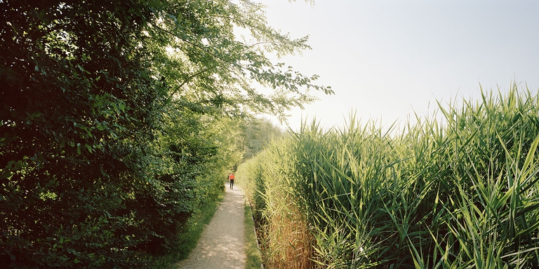 Milano la verde, Giuseppe Marinoni