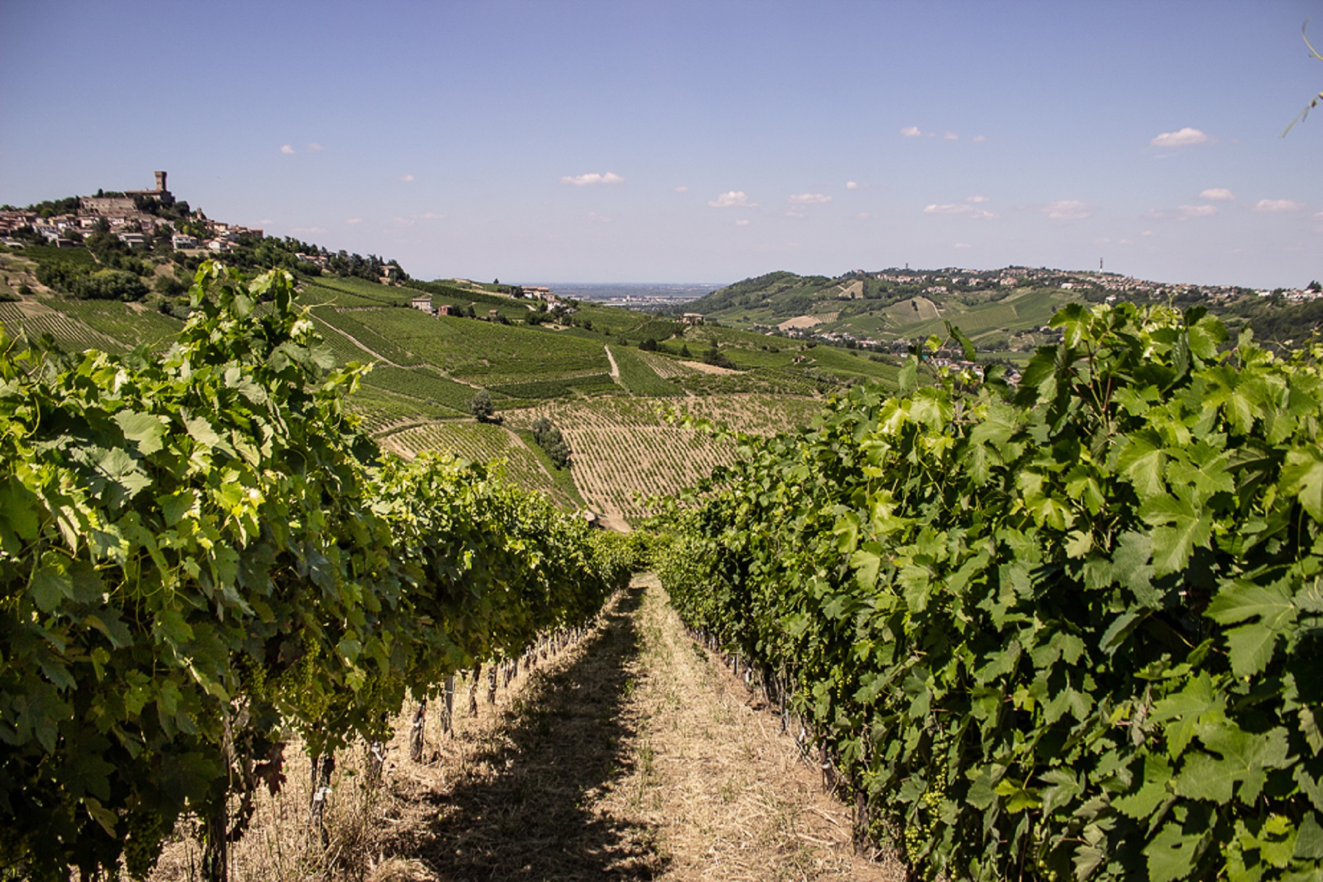 Lombardia Oltrepò Pavese