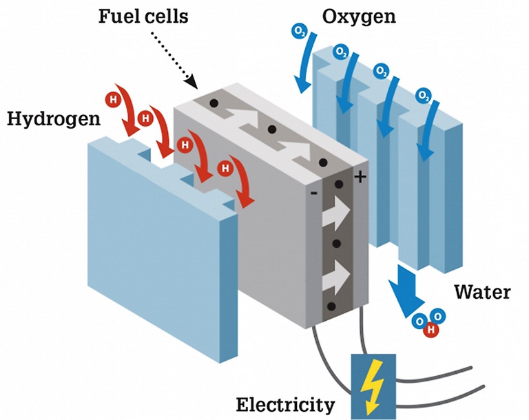 fuel cell