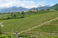 In Veneto l’espansione del Prosecco sta provocando l’erosione del suolo a ritmi insostenibili