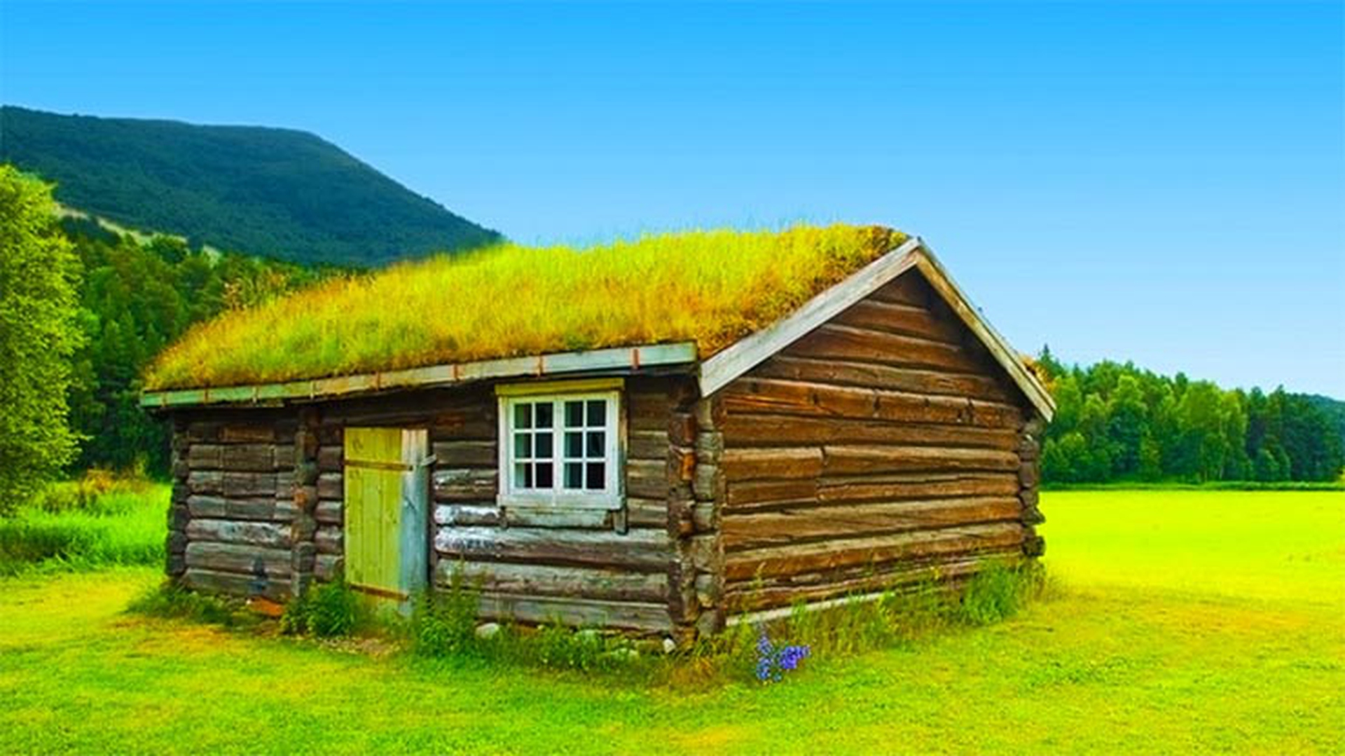 5-case-da-hobbit-in-cui-vorresti-abitare_27