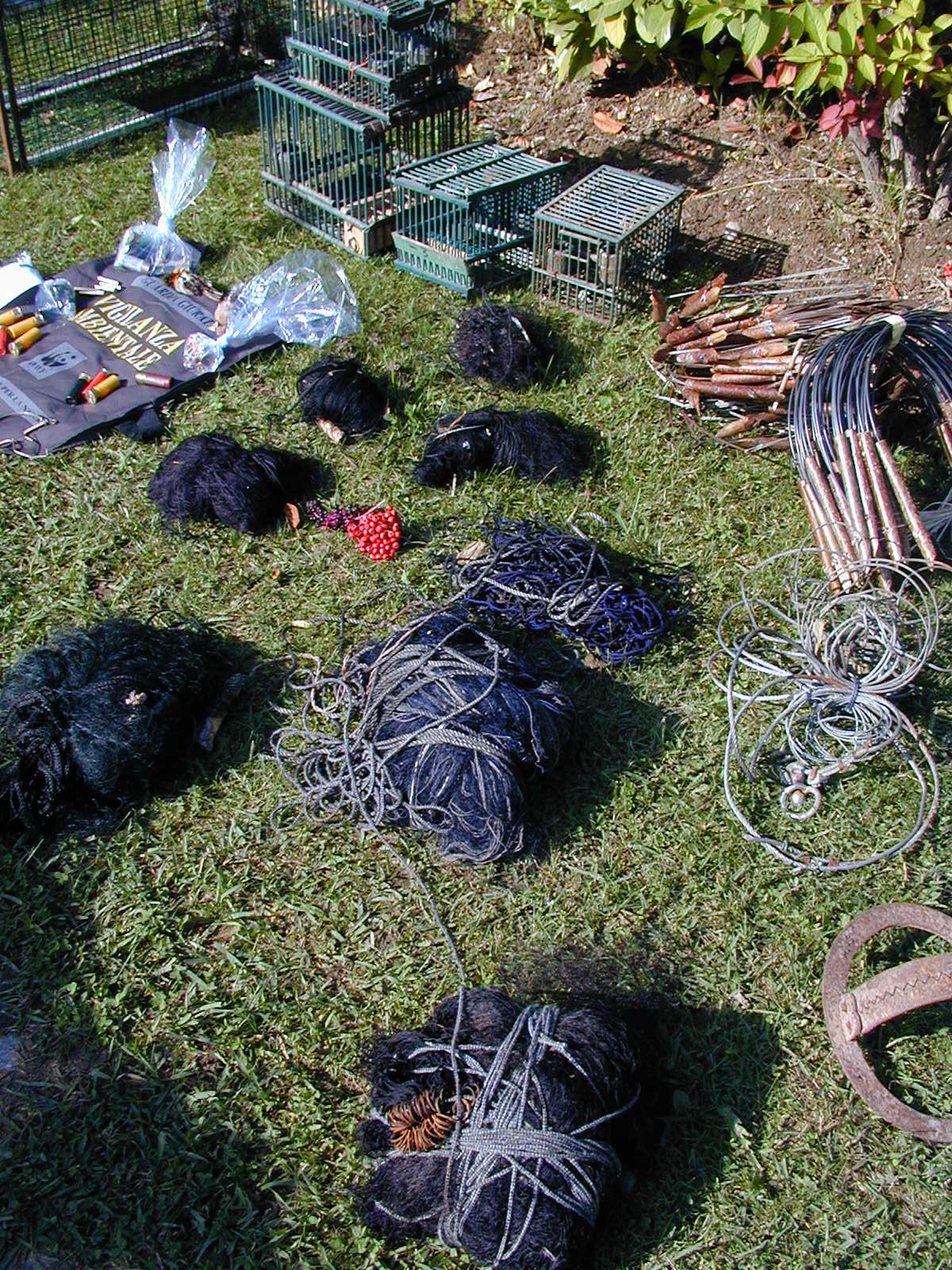 Allarme caccia illegale in Italia