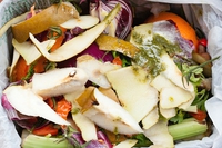 Dalle aziende produttrici alla cucina di casa, la responsabilità di tutti contro lo spreco alimentare