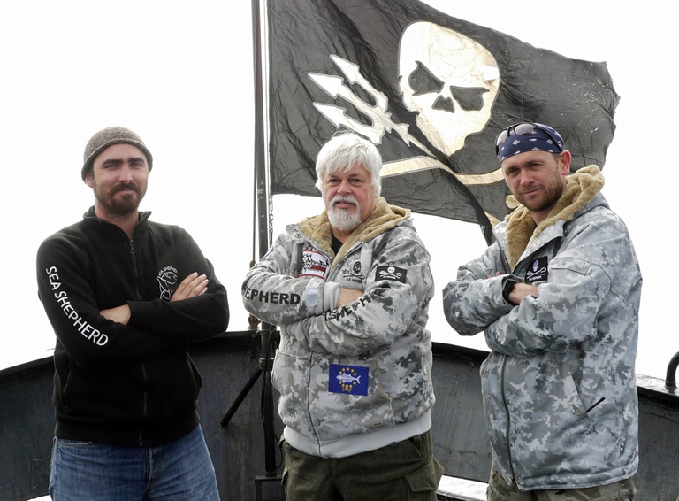 Le foto del libro dei 40 anni di Sea Shepherd