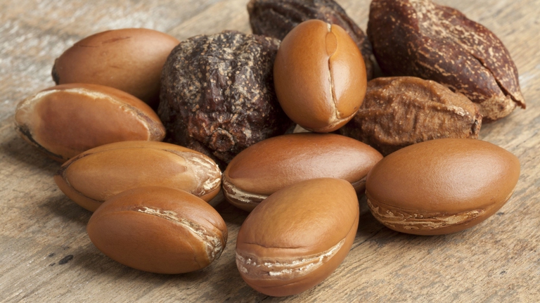 I frutti simili a mandorle da cui si ricava l'olio di argan - Ingimage 
