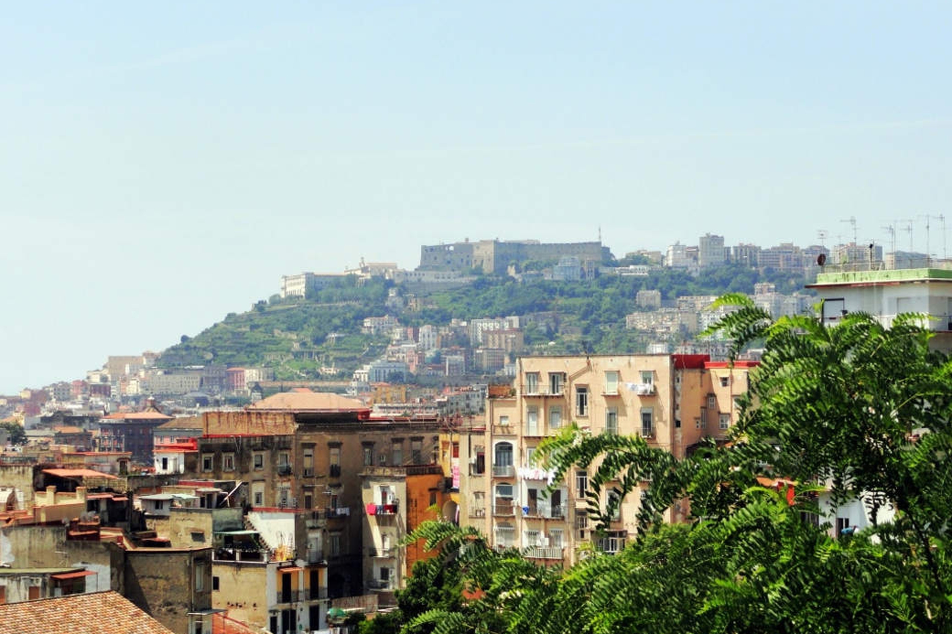 Perchè I Napoletani Si Chiamano Partenopei