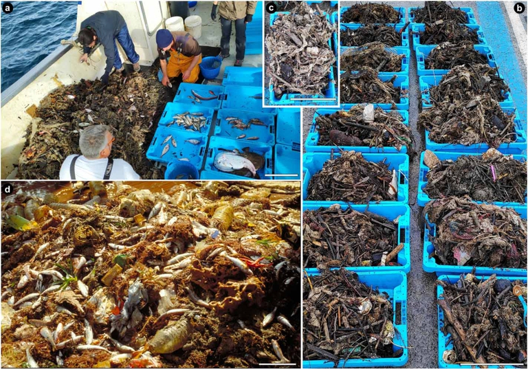 Rifiuti raccolti a basse profondità