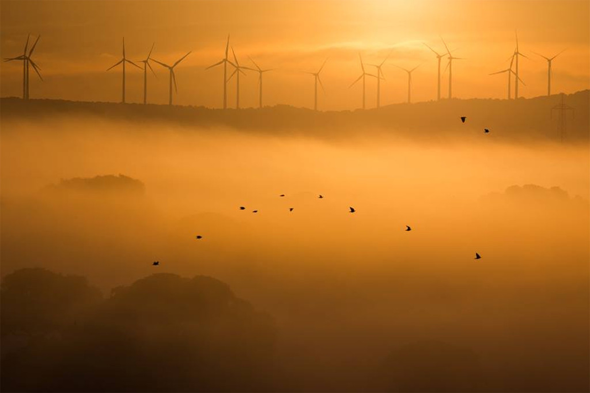 Pale eoliche in Sardegna