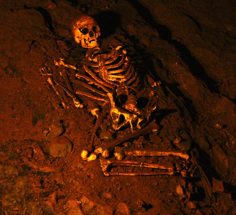 Copia scheletro Uomo di Cheddar