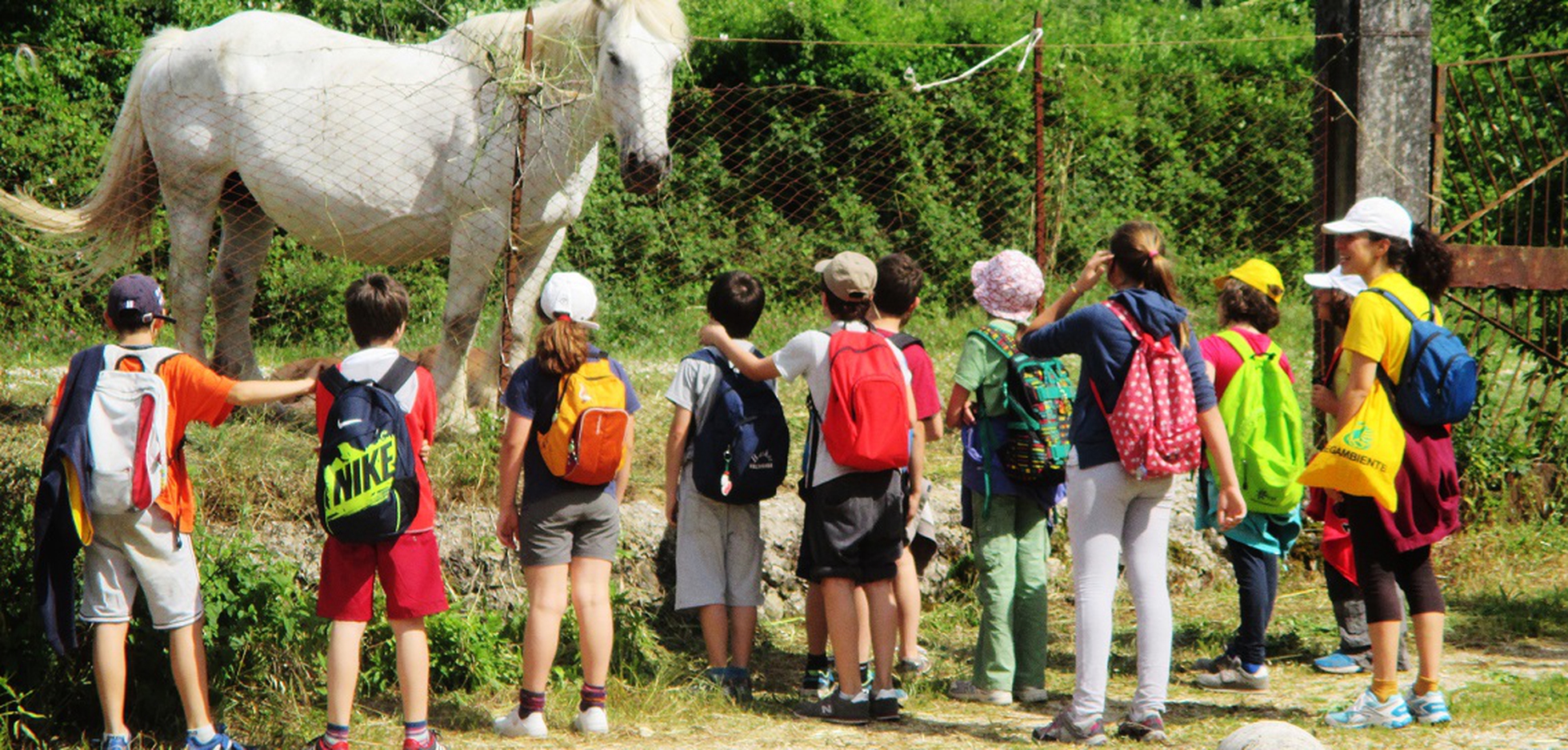 Case sull'albero con i bambini: la vacanza come avventura - Bimboinviaggio