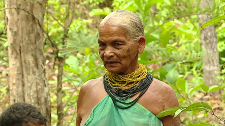 Ambientalista indigena in India, Tulasi Gowda