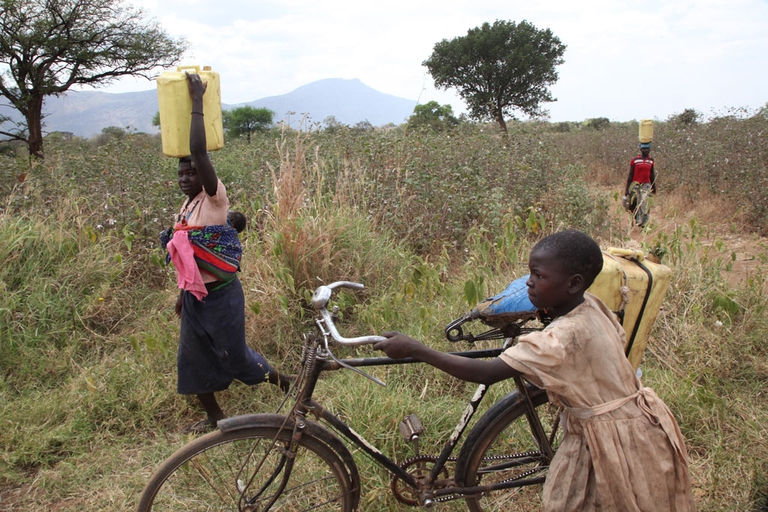 acqua nord uganda kalongo
