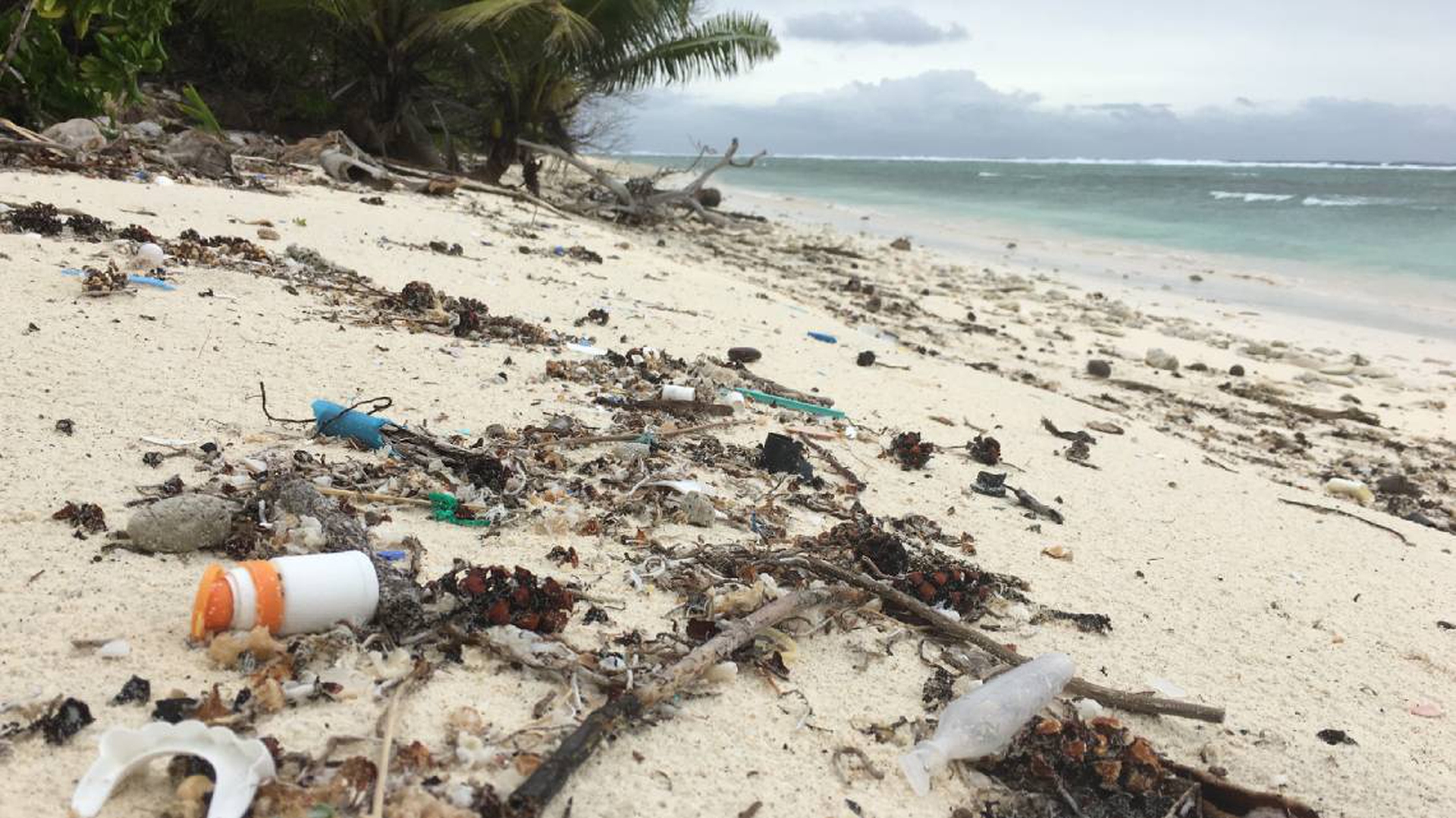 plastica isole cocos (7)