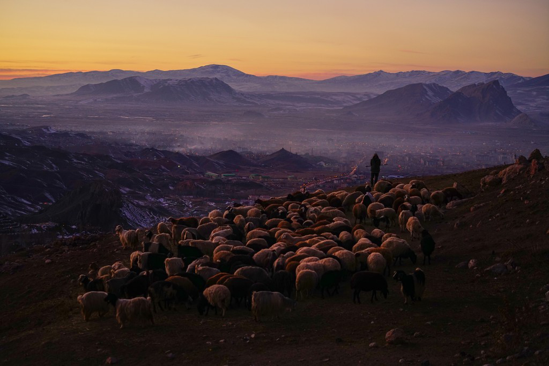 A taste of everything, Nuket Uluc – Sony World Photography Awards 2018