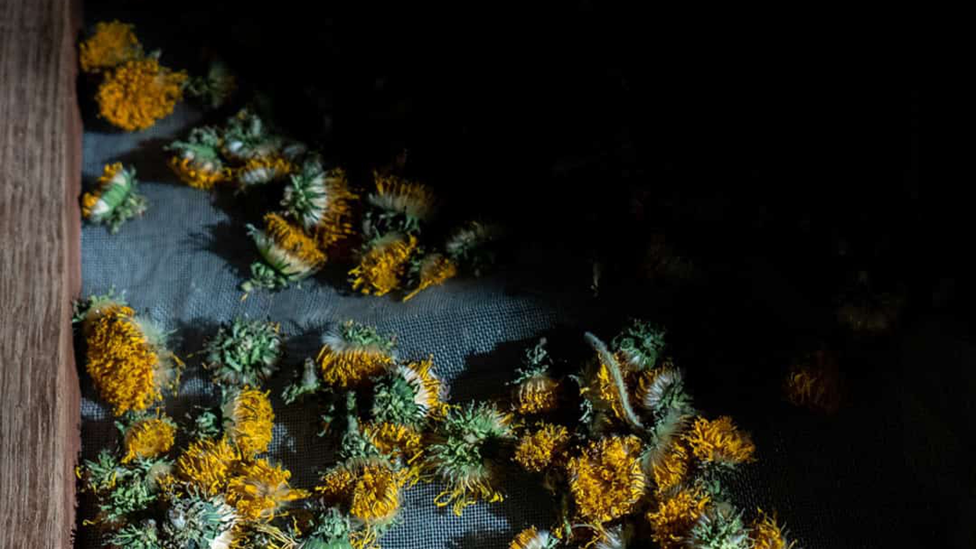 Vino y cambio climatico en Argentina