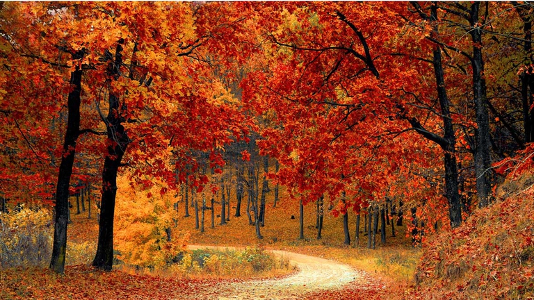 compost di foglie autunno