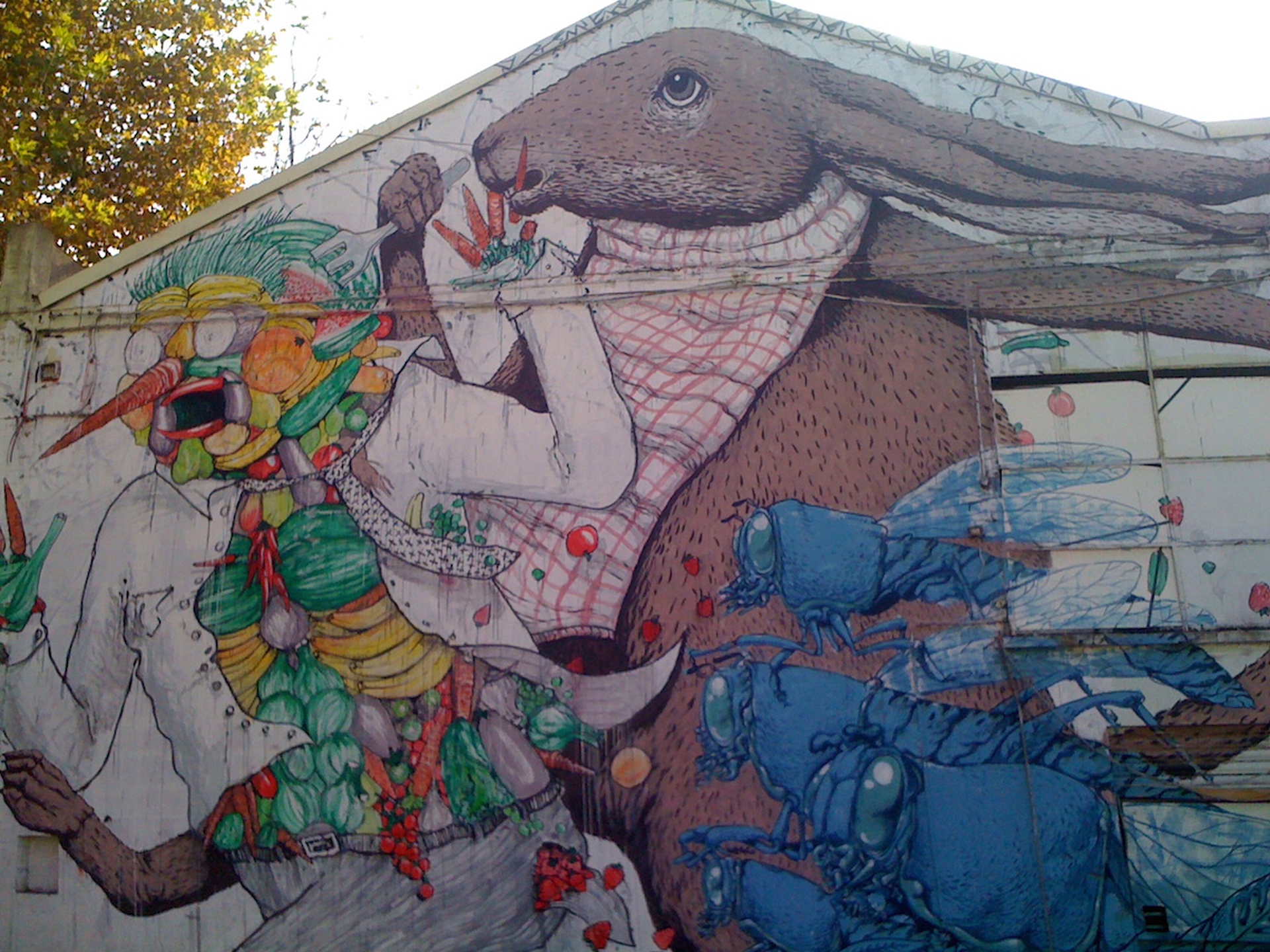 blu-ericailcane-the g. canyon in a crack-flickr