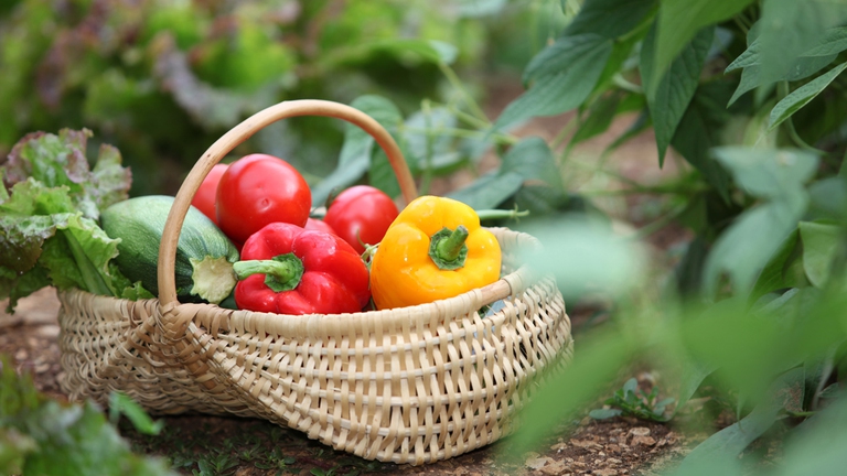 Tra gli alimenti bio più acquistati c'è sempre l'ortofrutta