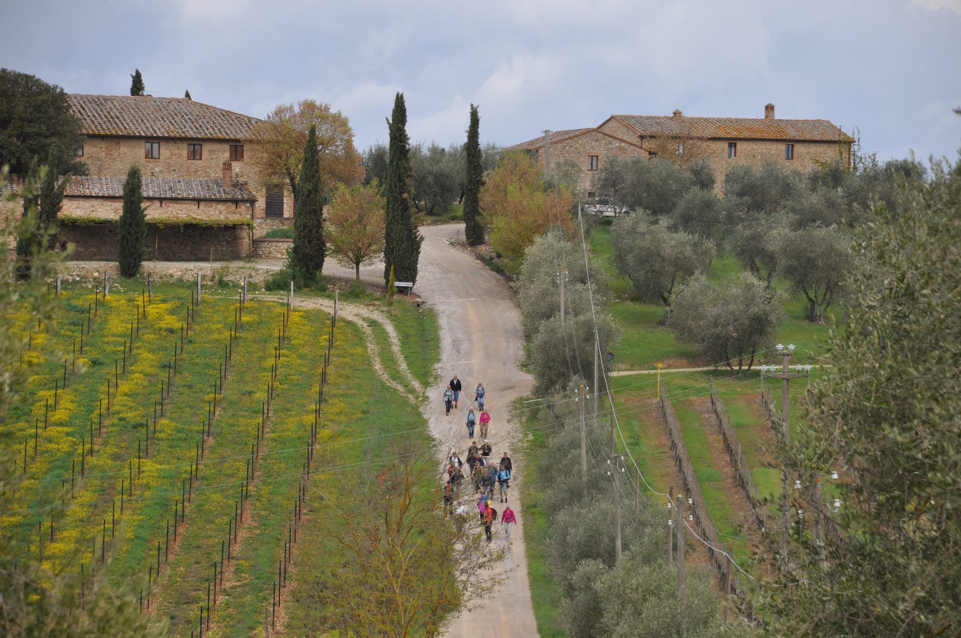 Trekking from Florence to Siena