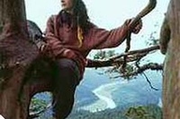 Albero, maestro di vita (Julia Butterfly Hill)
