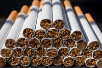 Il disastroso impatto ambientale dell’industria del tabacco