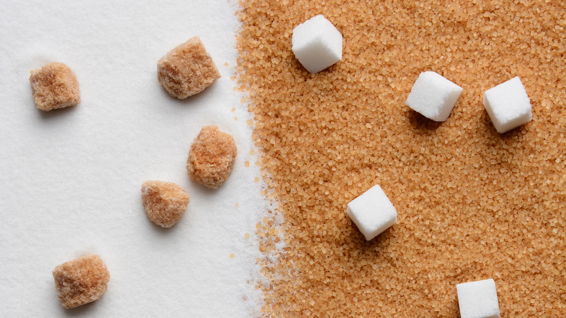 Diversi tipi di zucchero