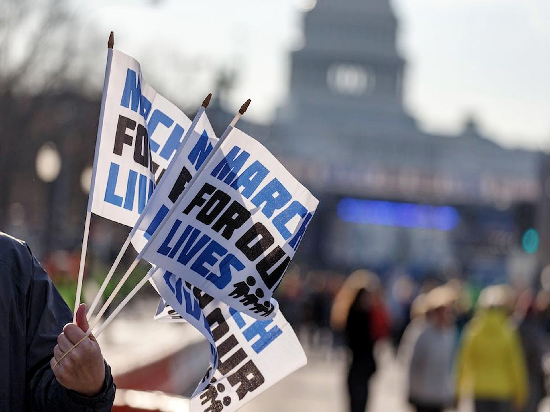 bandierine-march-for-our-lives