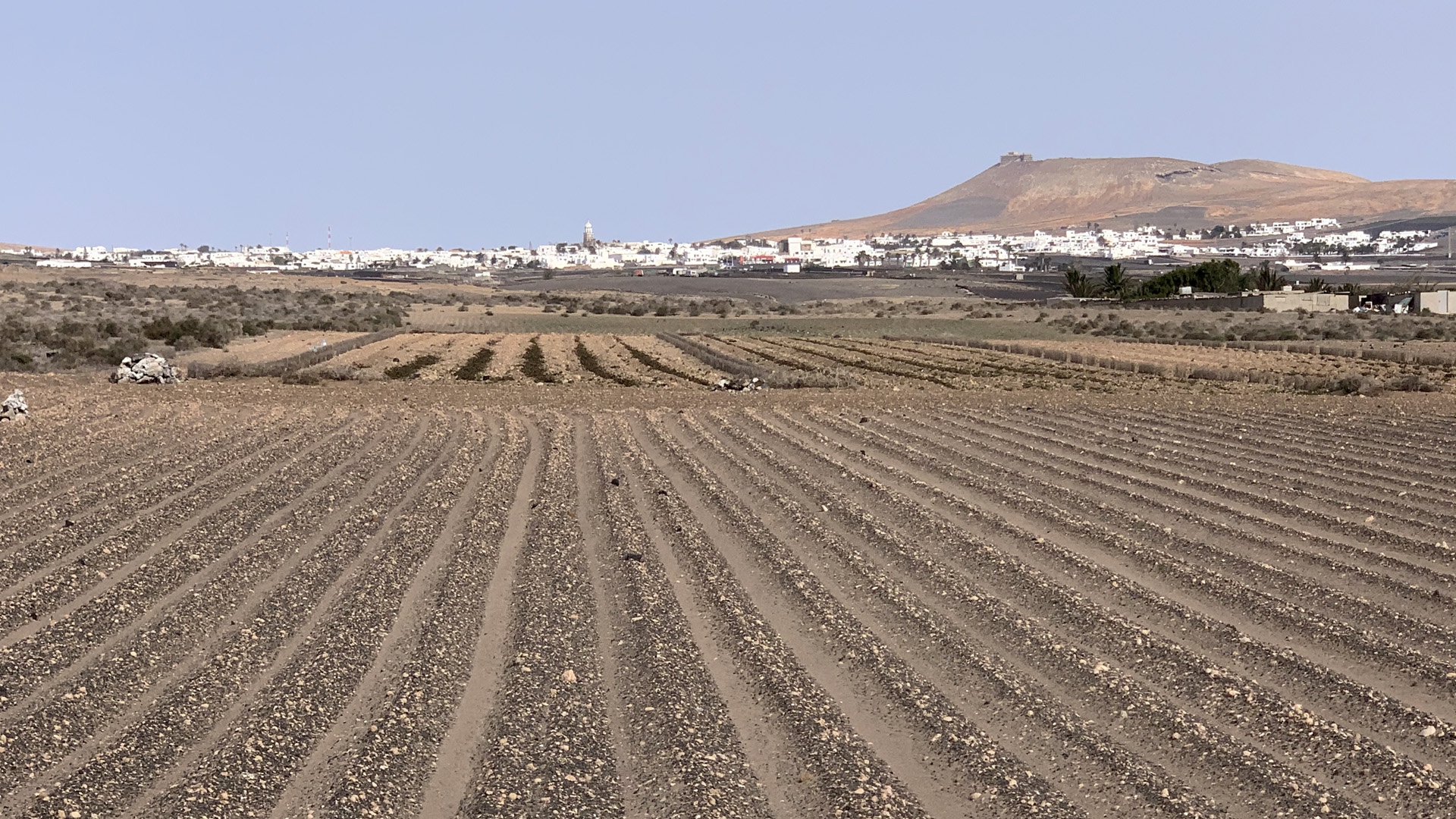 LANZAROTE_terra arata Jable