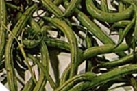 Fagiolini trifolati