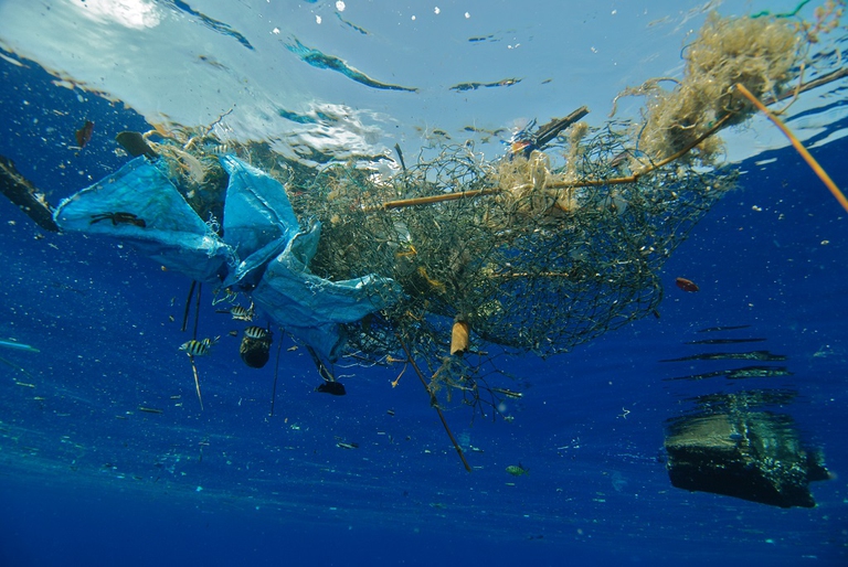 inquinamento oceanico