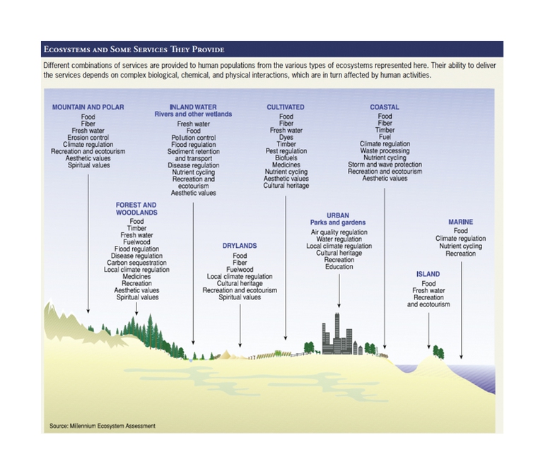 Capitale naturale valore degli ecosistemi