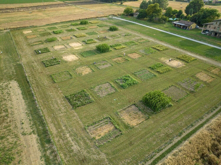 agricoltura rigenerativa biologica