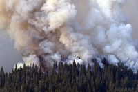 Incendio nel parco nazionale di Yosemite: le fiamme dilagano tra le sequoie giganti