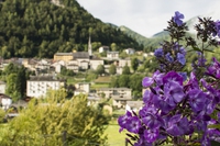 Il Green Week festival di Trento è dedicato all’edilizia sostenibile