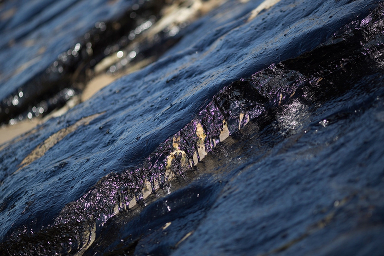 petrolio-california-4