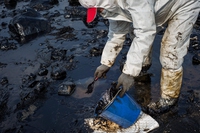 Russia. Uno sversamento di petrolio nel Mar Nero è 400 volte più vasto di quanto si pensava
