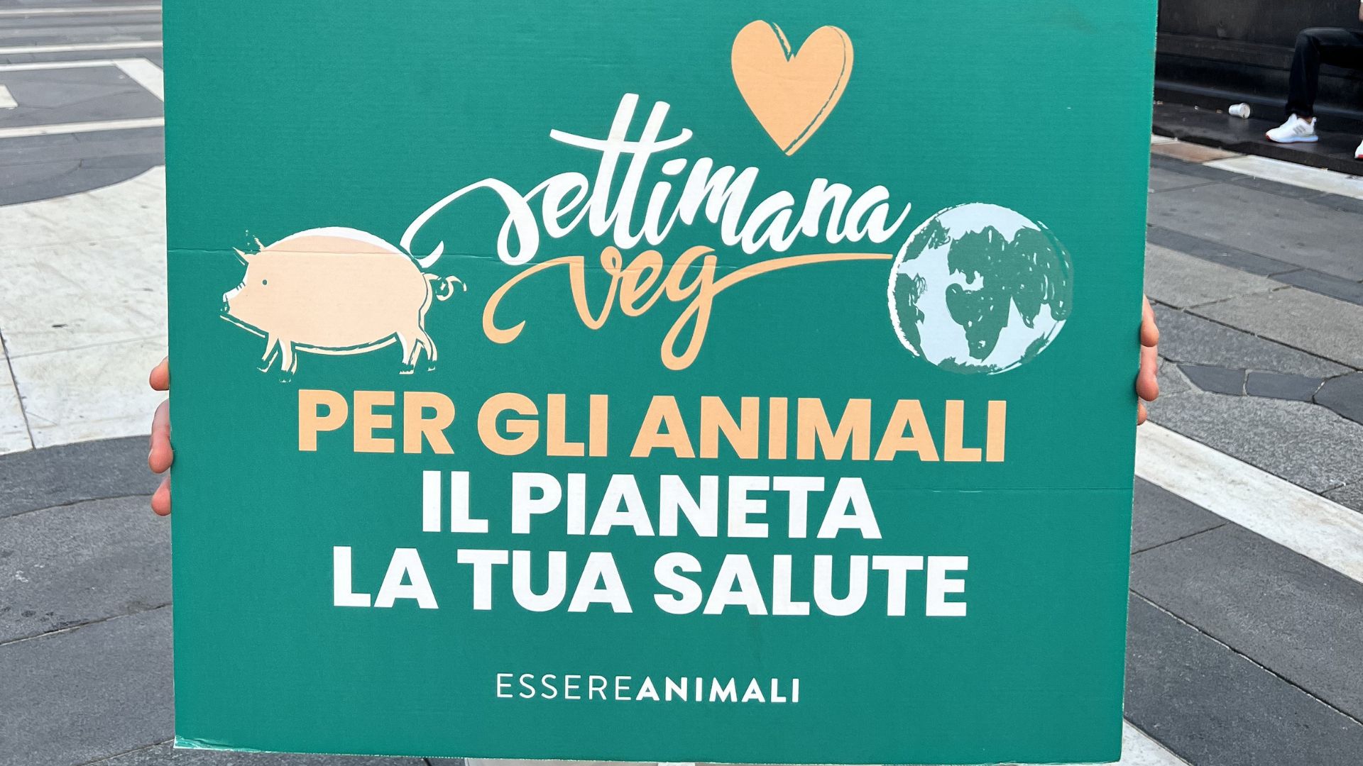 Pianeta alimentazione veg