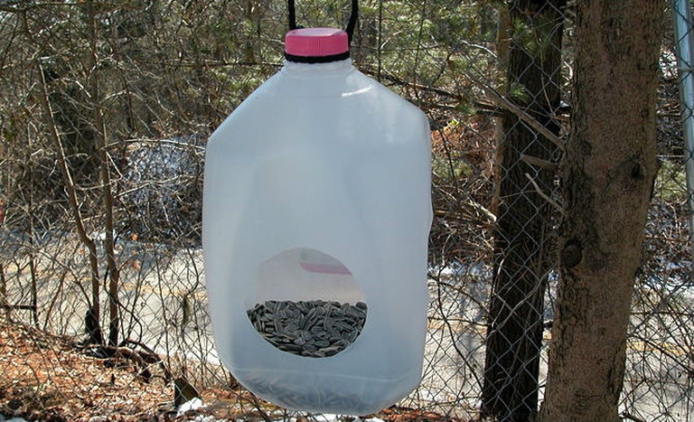 670px-Build-a-Milk-Jug-Bird-Feeder-Intro