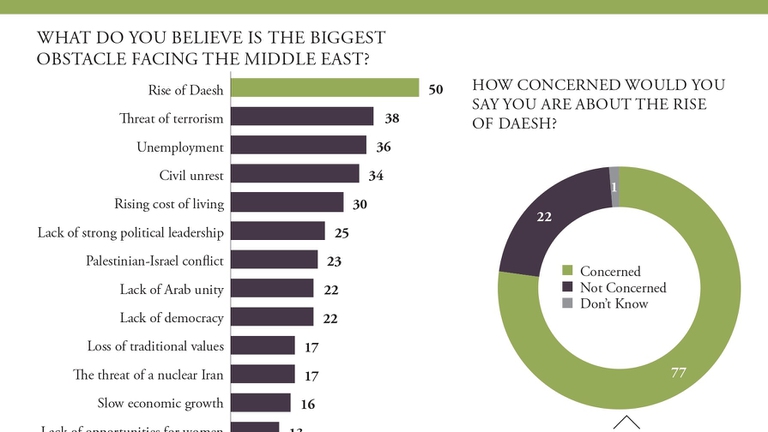 Infografica Arab Youth Survey 2016