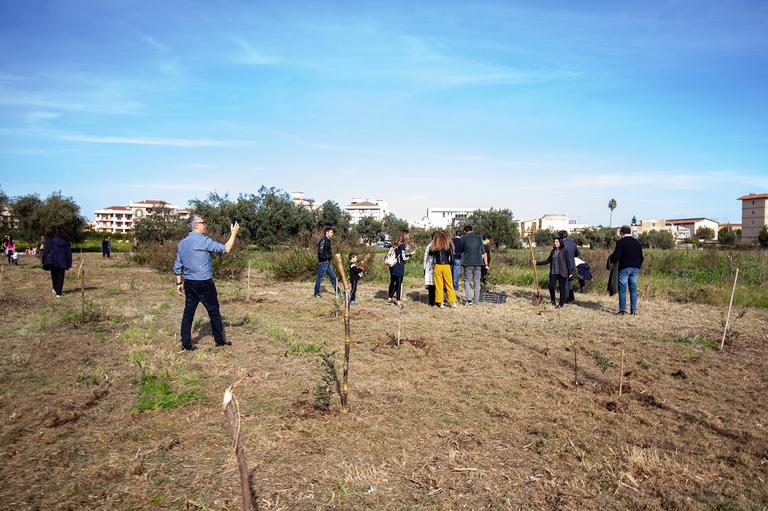 Il nuovo bosco urbano di Siracusa prende forma