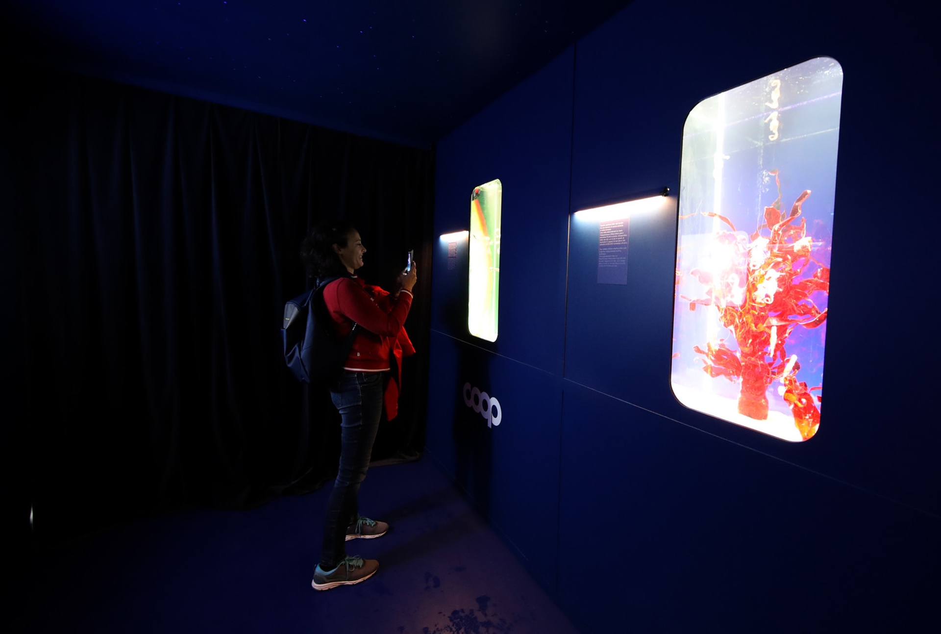 installazione di Coop a Trieste