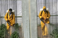 Pesticidi e Parkinson: un nuovo studio conferma il legame