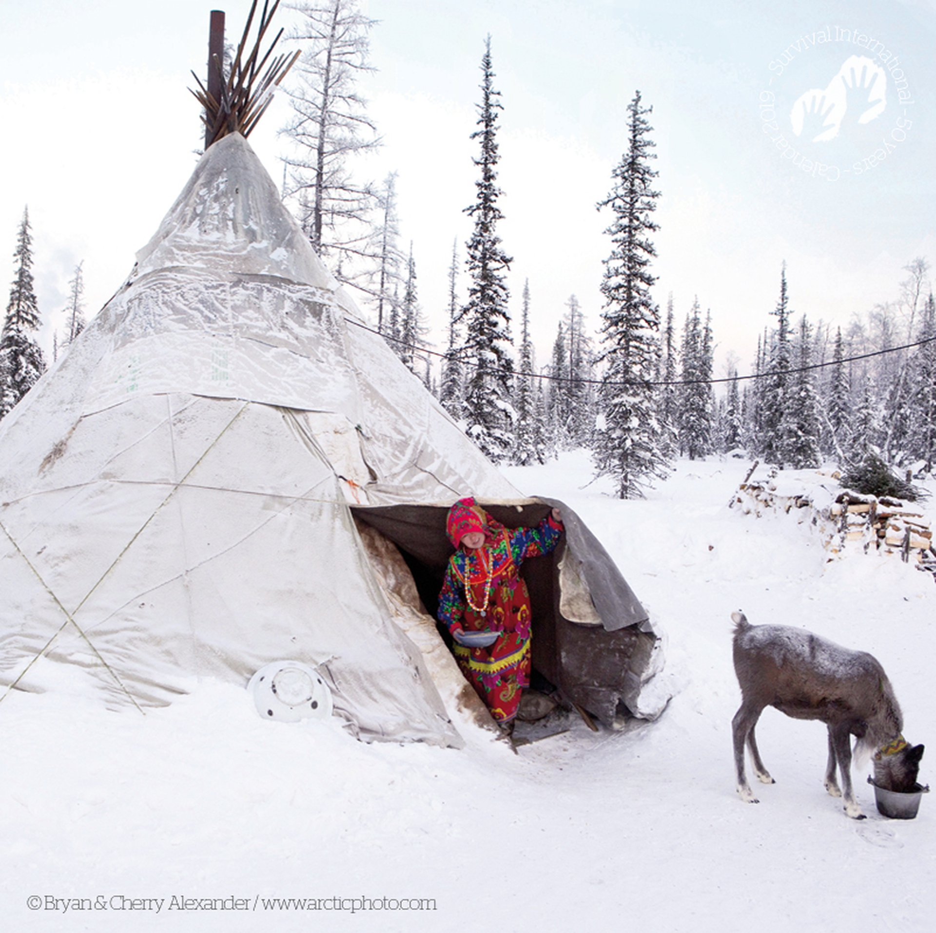 Calendario 2019 Survival International, Bryan & Cherry Alexander