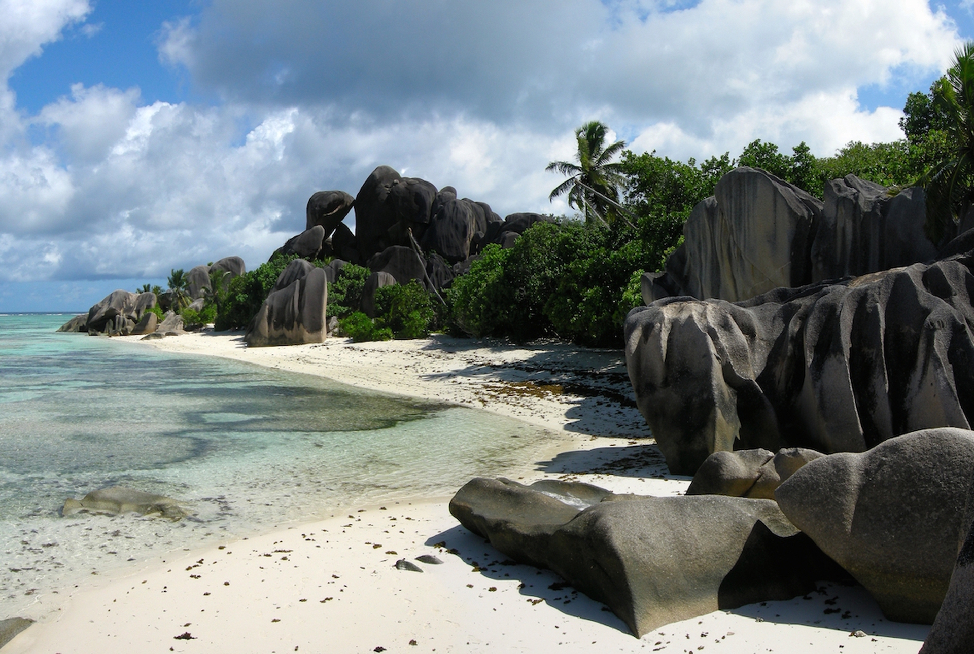 The marine environment of the Seychelles