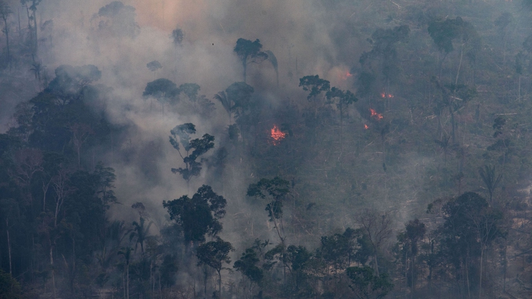 amazzonia incendi 2021 brasile