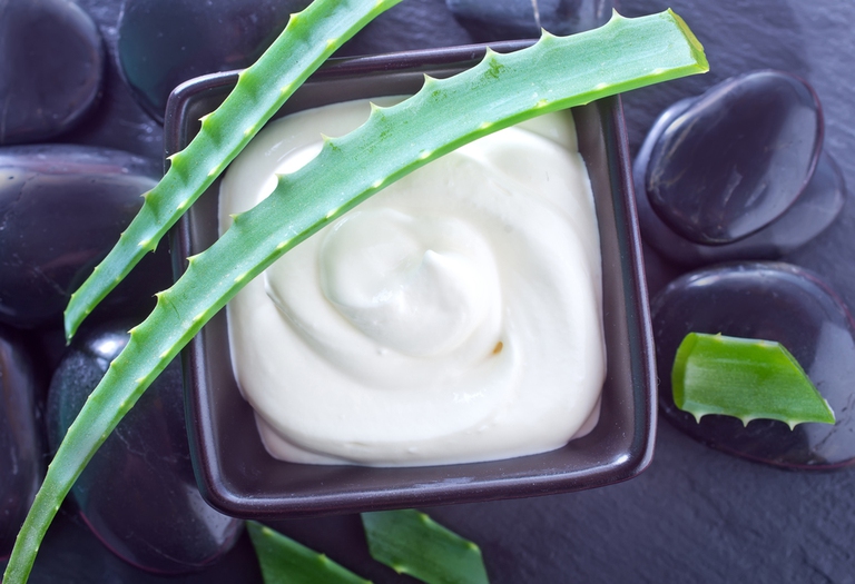 Aloe Vera with Lotion Box