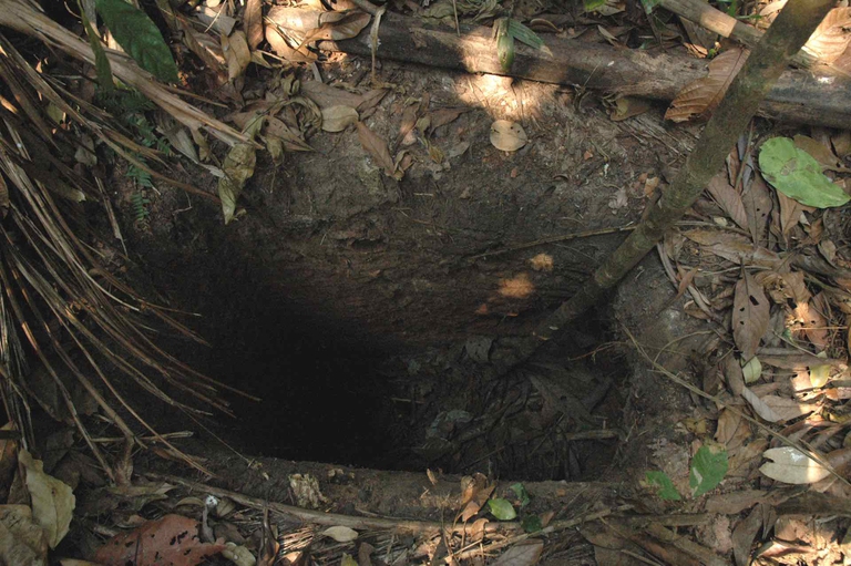 È morto “l’uomo della buca”: era l’ultimo del suo popolo indigeno in Brasile