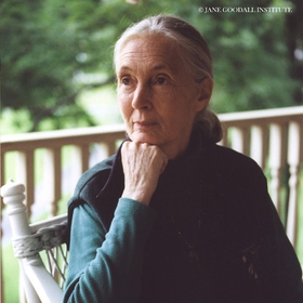Jane Goodall