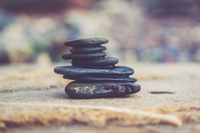 Buddhismo zen. Principi, dottrine e scuole