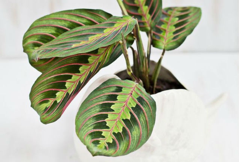 7eeb7777fbb3b5a30a01206b7635f67d